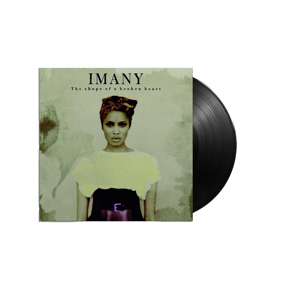 The Shape of a Broken Heart - Double vinyle